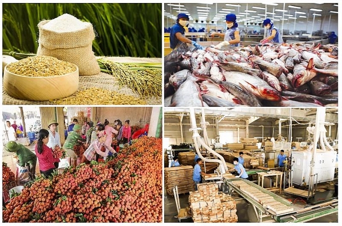  Trong 7 tháng đầu năm 2021, kim ngạch xuất khẩu hàng nông, lâm, thủy sản của Việt Nam sang thị trường Nga đạt 323,26 triệu USD.