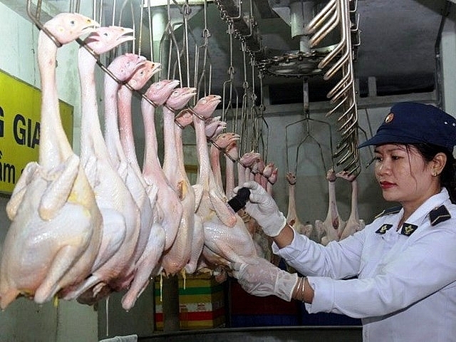 tang cuong cong tac quan ly giet mo gia suc gia cam