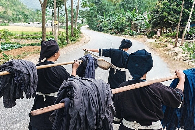 Nhuộm màu áo xuân cùng người Sán Dìu nhuom mau ao xuan cung nguoi san diu