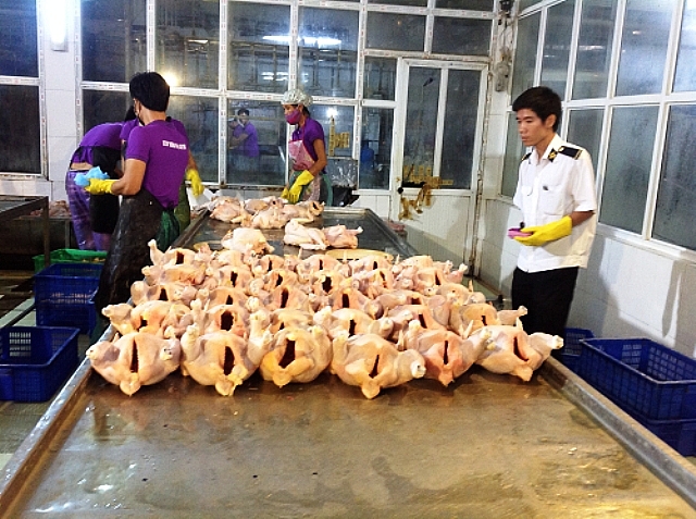 gian nan nghe kiem soat giet mo gia suc gia cam