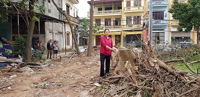 huyen phuc tho ha noi vuon nha dan moc len du an