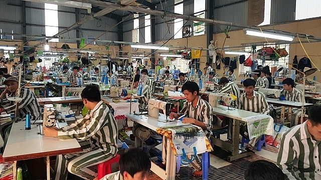 Kế hoạch tương lai của thanh niên từng lầm lỡ... ke hoach tuong lai cua thanh nien tung lam lo