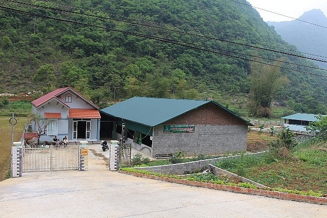 Chàng trai bỏ phố lên rừng... lập nghiệp chang trai bo pho len rung lap nghiep