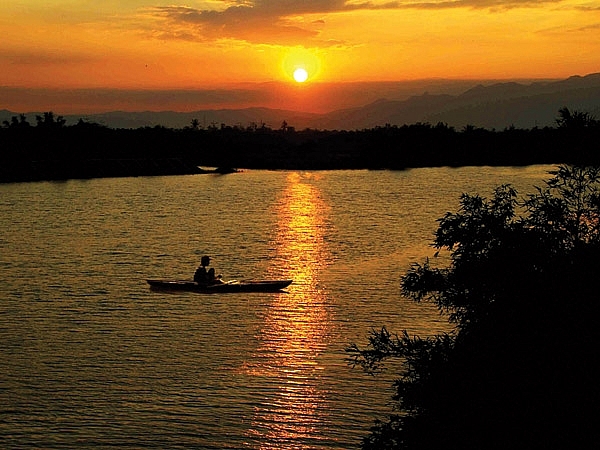Còn thương rau đắng mọc sau hè con thuong rau dang moc sau he