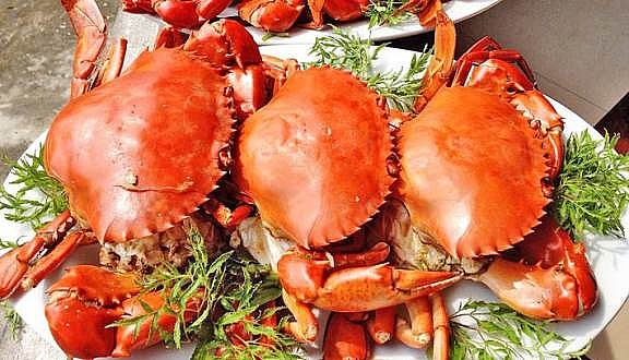 Các loại thực phẩm giúp bổ sung sắt cho cơ thể cac loai thuc pham giup bo sung sat cho co the