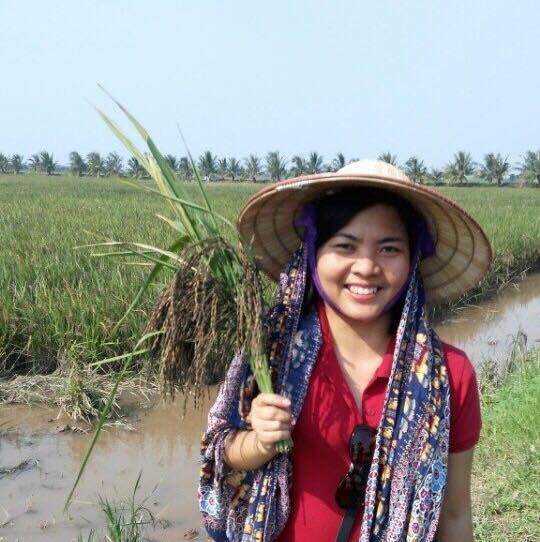 nguoi tieu dung man ma voi gao ruong ruoi sieu sach