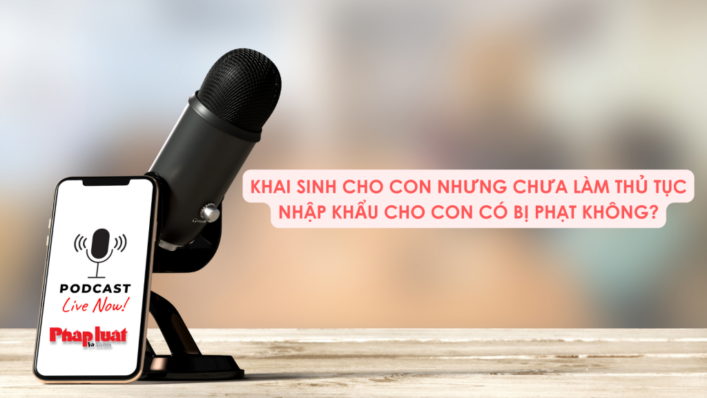 Khai sinh cho con nhưng chưa làm thủ tục nhập khẩu cho con có bị phạt không?