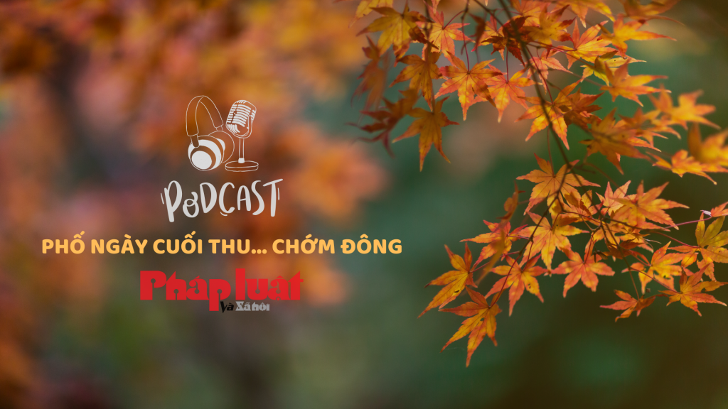 Phố ngày cuối thu... chớm đông