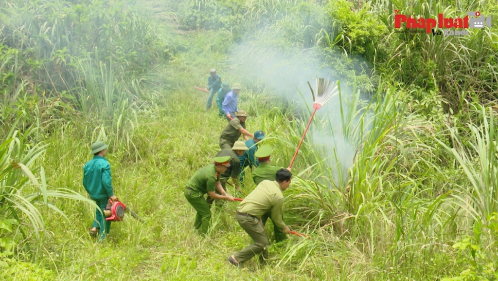 Chủ động phương án phòng cháy chữa cháy rừng mùa nắng nóng