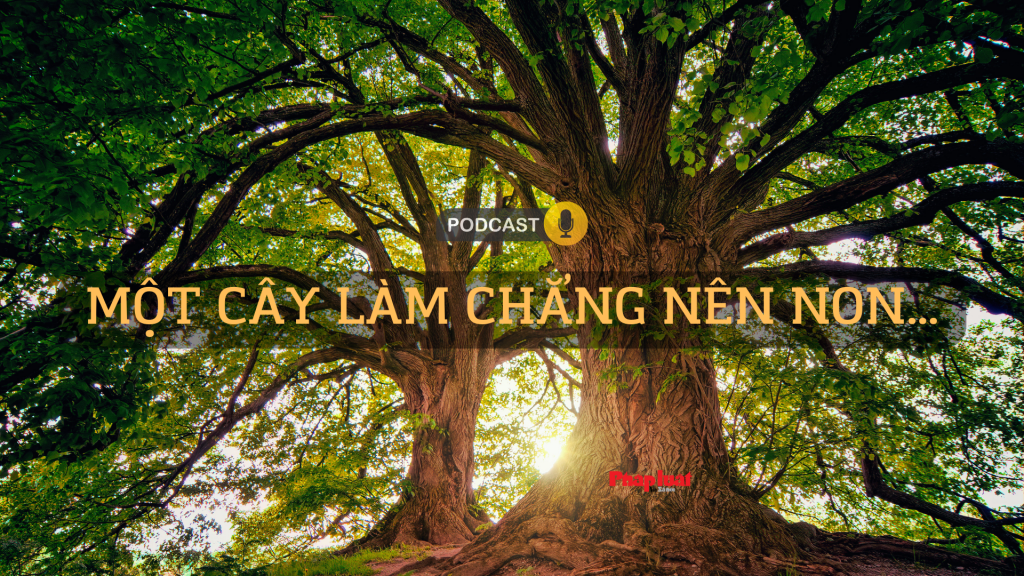 Một cây làm chẳng nên non…