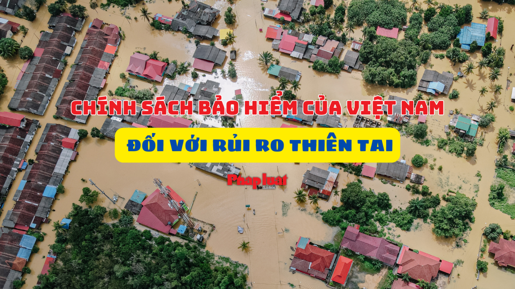 Chính sách bảo hiểm của Việt Nam đối với rủi ro thiên tai