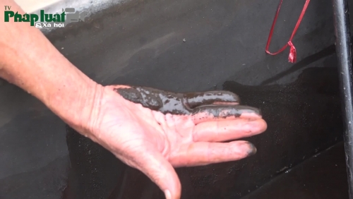 Đan Phượng, Hà Nội: Nguồn nước ngầm bị ô nhiễm nặng bởi chỉ số mangan cao